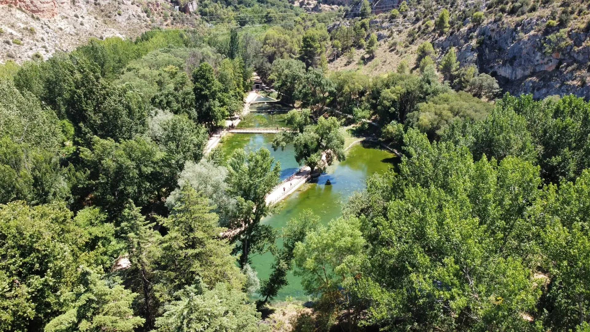 PISCIFACTORIA